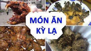 Top 8 Những Món Ăn Kỳ Lạ Ở Trung Quốc | Góc Nhìn Trung Quốc