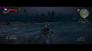 The Witcher 3 MSI 1080 GTX OC ACER PREDATOR X34 GSYNC