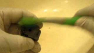 Stripping Paint from Miniatures