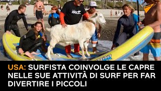 USA: surfista coinvolge le capre nelle sue attività di surf per far divertire i piccoli