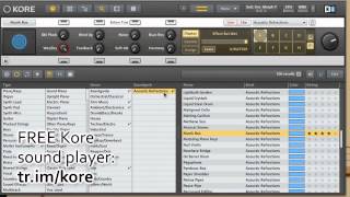 Native Instruments Kore Soundpack- Acoustic Refractions VST