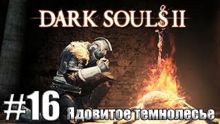 Ядовитое Темнолесье [Dark Souls 2 #16]