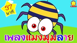 เพลงแมงมุมลาย Itsy bitsy spider | เพลงเด็ก indysong kids