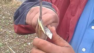 Grafting an apple tree in Kullu, India