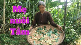 Khoai sắn là món ngon mẹ làm dành cho các con cháu - Cơm Mẹ Nấu(Sweet potatoes and cassava)
