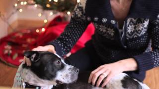 Magnificent Mara - ADOPTED!!
