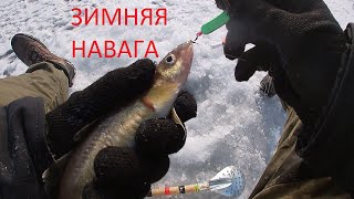 ЗИМНЯЯ РЫБАЛКА №3 НАВАГА ГНЕТ УДОЧКУ ВЛАДИВОСТОК /ICEFISHING COD VLADIVOSTOK GO PRO HERO 7 WHITE