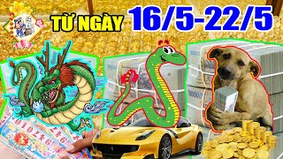 NGHÈO THẾ ĐỦ RỒI, 3 Tuổi Này 100% Trúng Số Độc Đắc 7 Ngày Tới Đổi Đời Giàu To Nhất Làng | TVTL