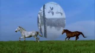 Евгений Полянский - Туман