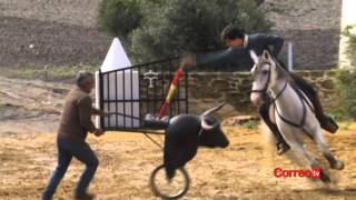 El Toro y el Caballo - PGM 14 - Parte 2 21/11/14