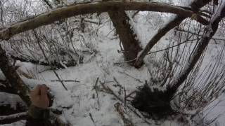 Капкан на куницу без пружины.Trap for marten without spring.