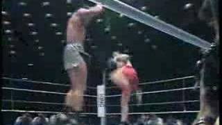 andy hug vs stan the man