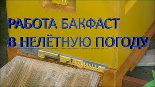 ☔ Работа Бакфаст в нелётную погоду ☔