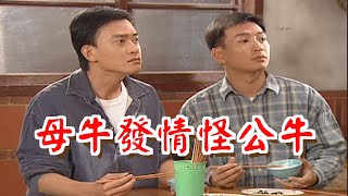 母牛發情怪公牛《粗皮雄與卓有春》笑笑三分鐘系列