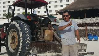 Limpieza de playas en Solaris 2018.