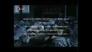 Hasenjagd Vor lauter Feigheit gibt es kein Erbarmen Охота на зайцев DEUTSCH
