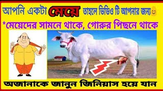 Bangla GK question answer/general knowledge/dhadha Bangla/dadagiri question/Bengali riddles/GK