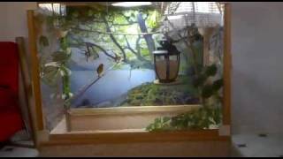 My Indoor Aviary