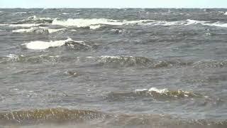 sea ​​swimming special background
