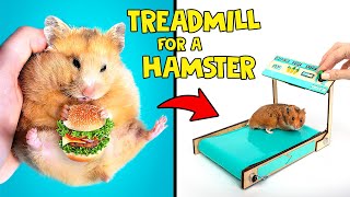 How To Build Treadmill for A Hamster ?