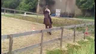 Travail au galop → Variation d'amplitude