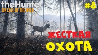ОХОТА С Mr.Cat ● TheHunter: Call of the Wild ● СИМУЛЯТОР ОХОТЫ #10