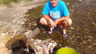 Perućac jezero- pecanje plotice