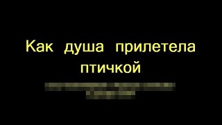 КАК ДУША ПРИЛЕТЕЛА КАК ПТИЦА