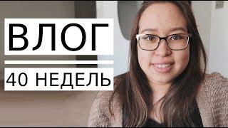 НОВОСТИ 40 НЕДЕЛИ