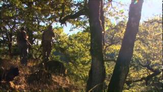 California: Blacktail - Boone and Crockett Country