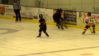 Squirt B DL v SWHA Kings 1 4 2015