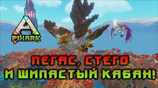 ПЕГАС, СТЕГО И КАБАНЧИК! PIXARK!