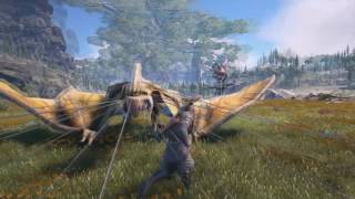 Taming Dragons in Dark and Light