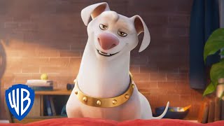 DC LEAGUE OF SUPER-PETS – Trailer #3 Deutsch German (2022)