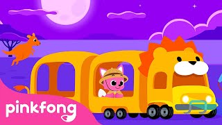 Recorrido Nocturno en la Sabana | Animales para Niños | Pinkfong Canciones ​Infantiles