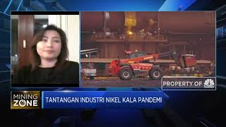 Hingga 2022, Produksi Nikel Diproyeksi Surplus 100 ribu Ton/tahun