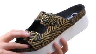 Circus by Sam Edelman Petra SKU:8574816