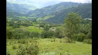Phula ko basana