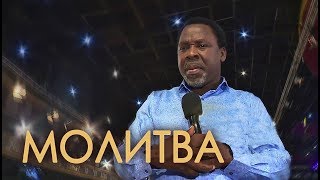 ТБДжошуа молится на языках