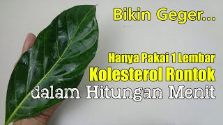 HANYA PAKAI INI, GOLESTROL TINGGI HILANG SECARA ALAMI
