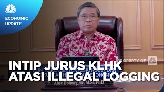 Bongkar Jurus KLHK Atasi Persoalan Illegal Logging Cs