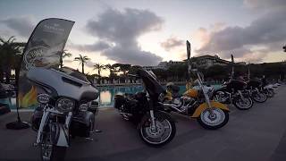 Papillon Ayscha Rock&Bike Party by Harley Davidson