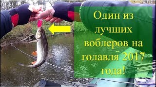 Один из лучших воблеров на голавля 2017 года! One of the best crankbaits for Chub 2017!