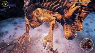 Dragon Age Inquisition. Уровень сложности безумие, убийство в соло Ногорного губителя.