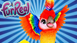 Обзор игрушки - интерактивный попугай Кеша | Rock a To Hasbro Furreal Friends