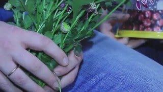 Ясюченя Владислав Вадимович   детский уролог андролог