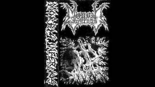 Morbis Infernus - Screams of Winter Night