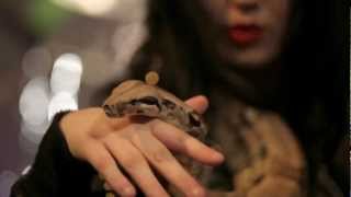 RUSTED - Young, Wild & Free (official video)