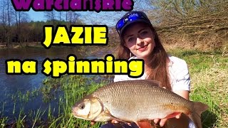 Warciańskie jazie na spinning- Początek kwietnia nad wodą