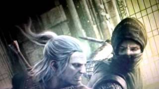 how to run the witcher 2